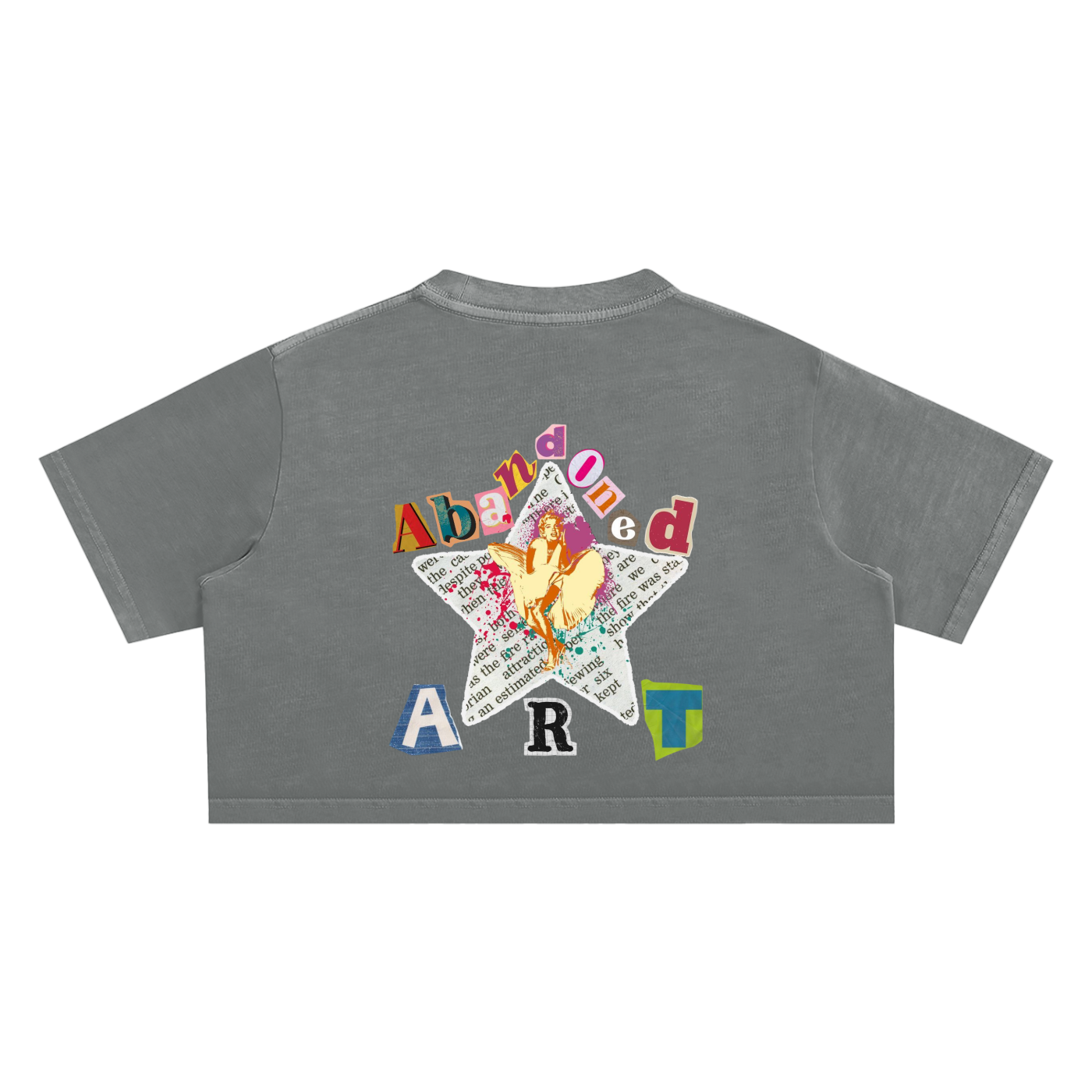 Abandoned Art Snow Washed Crop Top